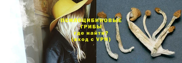 apvp Богданович