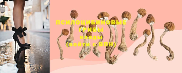 apvp Богданович