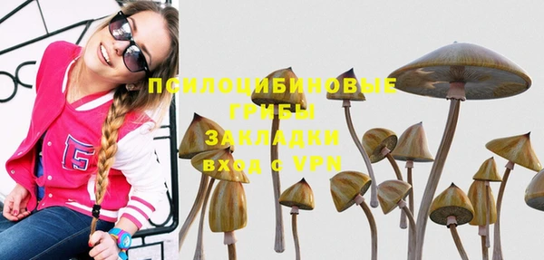 apvp Богданович