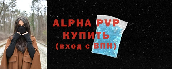 apvp Богданович